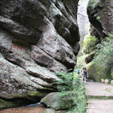 Award-winning Floral Shui Xian Wuyi Rock Oolong Tea Zhen Yan Narcissus