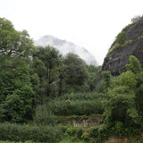 Exquisite Wuyi Rock Oolong Rou Gui Gift Box