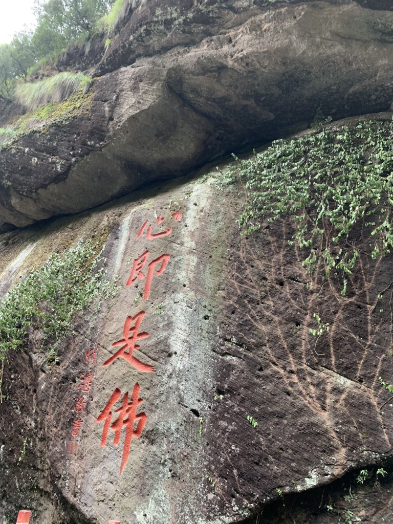 Wuyi Oolong Fo Guo Rock Rou Gui Tea Cinnamon
