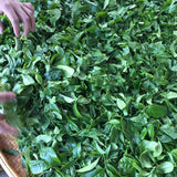 Phoenix Dan Cong Oolong Osmanthus Fragrance Gui Hua Xiang