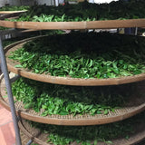 Phoenix Dan Cong Oolong Tea Fenghuang Mountain Almond Fragrance Xing Ren Xiang