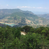 Phoenix Dan Cong Oolong Tea Honey Orchid Mi Lan Xiang