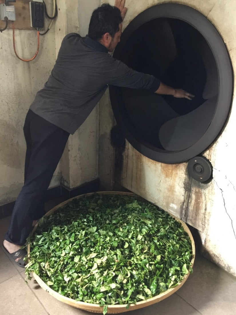 Phoenix Dan Cong Oolong Tea Old Bush Dong Fang Hong