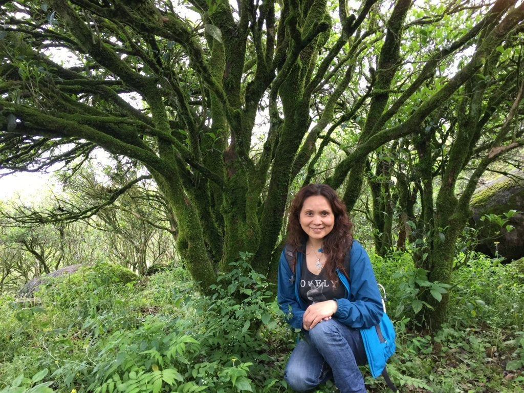 Phoenix Dan Cong Oolong Tea Song Zhong