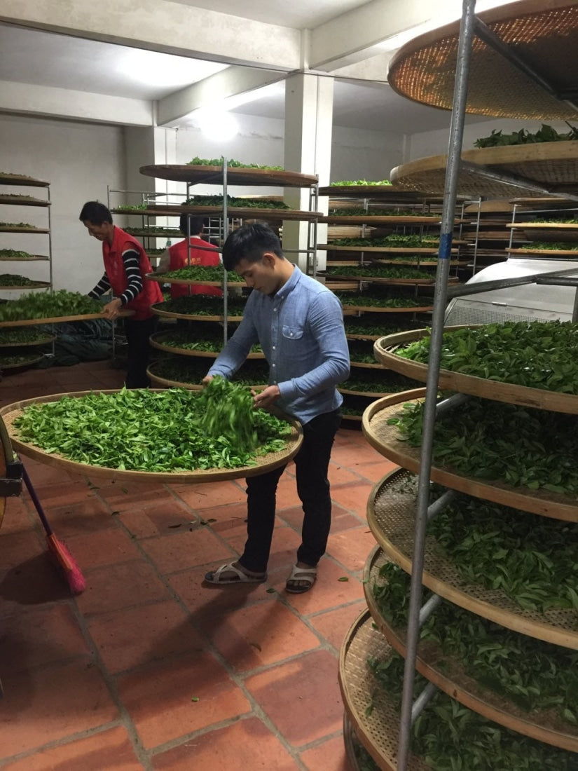 Phoenix Dan Cong Oolong Tea Wudong Mountain Ba Xian Eight Immortal