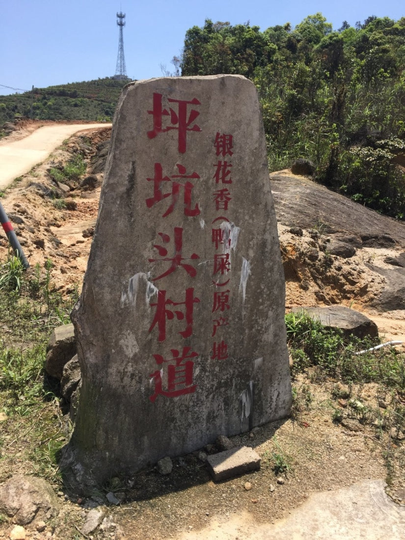 Phoenix Dan Cong Oolong Tea Ya Shi Xiang Duck Shit Fragance