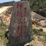 Phoenix Dan Cong Oolong Tea Ya Shi Xiang Duck Shit Fragance