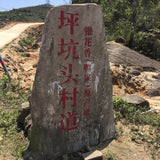 Phoenix Dan Cong Oolong Tea Ya Shi Xiang Duck Shit Fragance