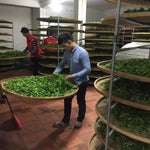 Phoenix Dan Cong Oolong Tea Ya Shi Xiang Duck Shit Fragance