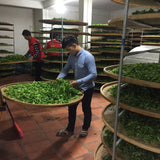 Phoenix Dan Cong Oolong Tea Ya Shi Xiang Duck Shit Fragance