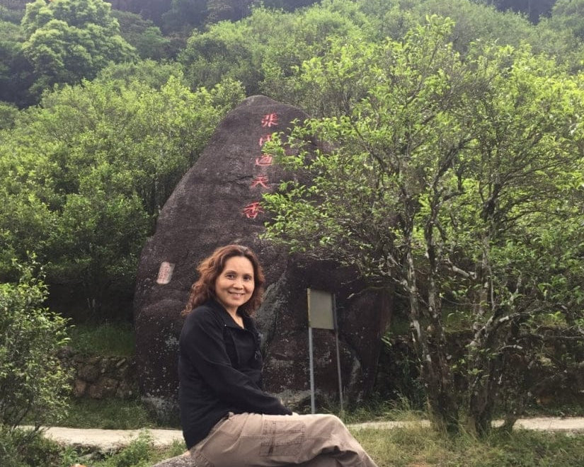 Phoenix Dan Cong Oolong Tong Tian Xiang Heavenly Fragrance