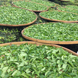 Phoenix Dan Cong Oolong Tong Tian Xiang Heavenly Fragrance