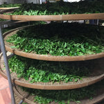 Phoenix Dan Cong Oolong White Leaf Bai Ye