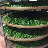 Phoenix Dan Cong Oolong White Leaf Bai Ye