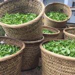 Phoenix Dan Cong Oolong Old Tree Honey Orchid Mi Lan Xiang