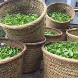 Phoenix Dan Cong Oolong Old Tree Honey Orchid Mi Lan Xiang