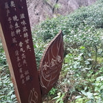 Legacy Wuyi Rock Oolong Golden Water Turtle Shui Jin Gui