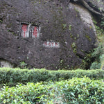 Legacy Wuyi Rock Oolong Golden Water Turtle Shui Jin Gui