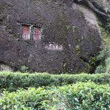 Legacy Wuyi Rock Oolong Golden Water Turtle Shui Jin Gui