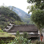 Legacy Wuyi Rock Oolong Iron Monk Tie Luo Han