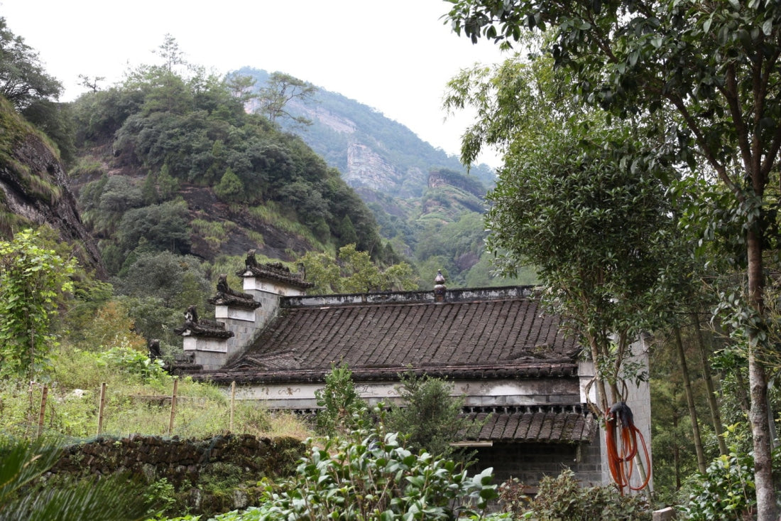 Legacy Wuyi Rock Oolong Iron Monk Tie Luo Han