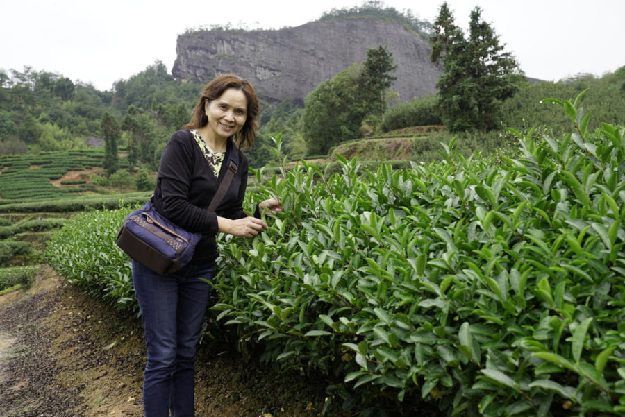 2019 Signature Wuyi Rock Oolong Wuyuan Jian Rou Gui