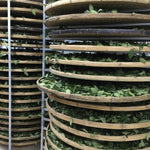 Top Grade Floral Anxi Tie Guan Yin Iron Goddess of Mercy Oolong