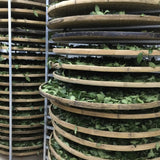 Top Grade Floral Anxi Tie Guan Yin Iron Goddess of Mercy Oolong