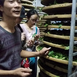 Top Grade Floral Anxi Tie Guan Yin Iron Goddess of Mercy Oolong