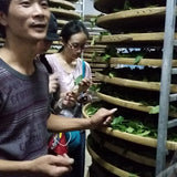 Top Grade Floral Anxi Tie Guan Yin Iron Goddess of Mercy Oolong