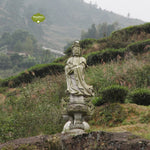 Top Grade Floral Anxi Tie Guan Yin Iron Goddess of Mercy Oolong