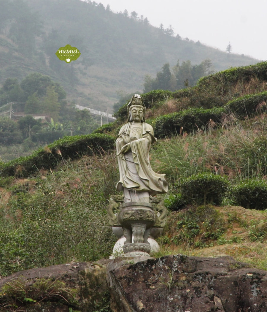 Top Grade Floral Anxi Tie Guan Yin Iron Goddess of Mercy Oolong