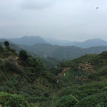 Top Grade Floral Anxi Tie Guan Yin Iron Goddess of Mercy Oolong