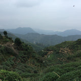 Top Grade Floral Anxi Tie Guan Yin Iron Goddess of Mercy Oolong