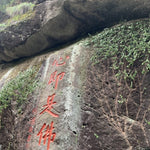 Premium Wuyi Rock Oolong Shui Xian