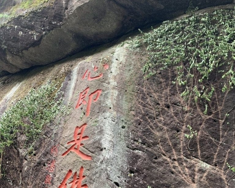 Premium Wuyi Rock Oolong Shui Xian
