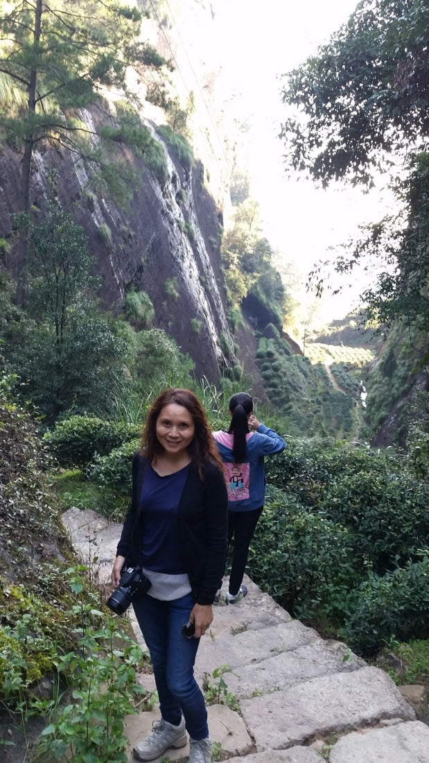 Wuyi Rock Oolong Award-winning Big Red Robe Da Hong Pao