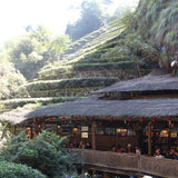 Wuyi Rock Oolong Award-winning Big Red Robe Da Hong Pao