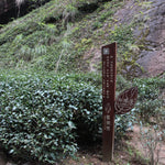 Wuyi Rock Oolong Tea Enchanting Fragrance Rui Xiang