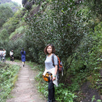 Old Bush Lao Cong Shui Xian Shui Lian Dong Water Cave Wuyi Rock Oolong