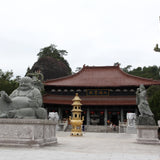 Wuyi Rock Oolong Award-winning Big Red Robe Da Hong Pao