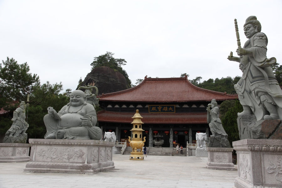 Wuyi Rock Oolong Award-winning Big Red Robe Da Hong Pao