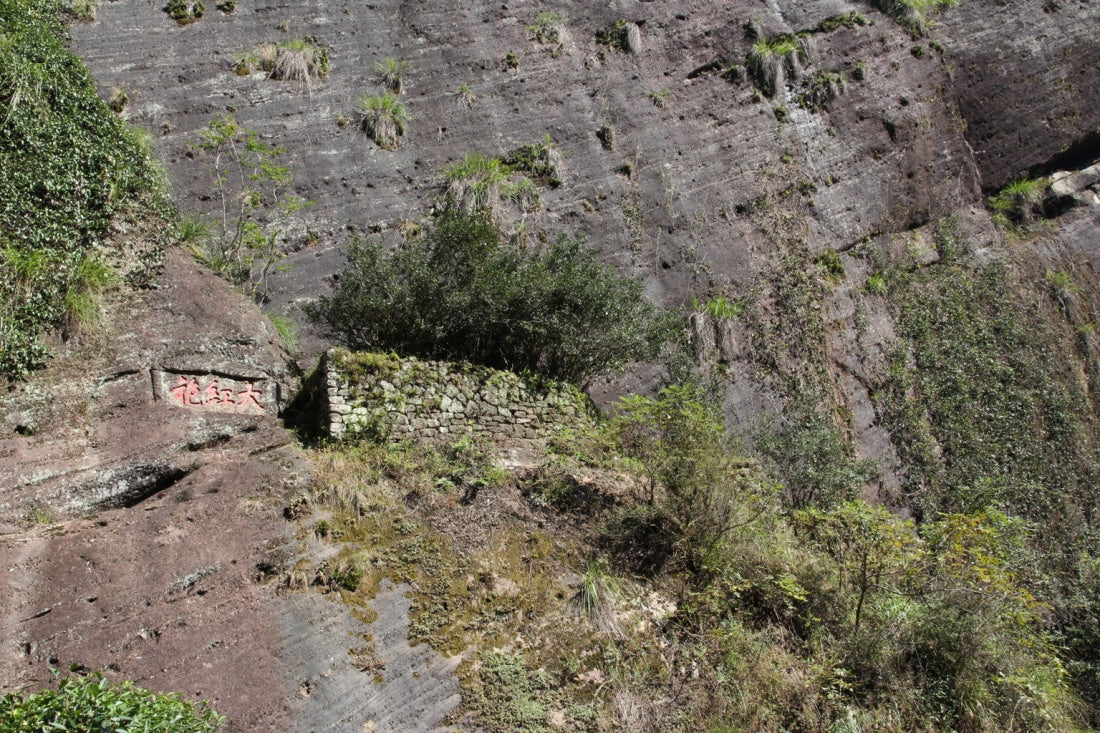 Wuyi Rock Oolong Award-winning Big Red Robe Da Hong Pao