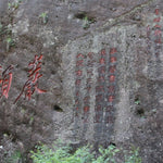 Wuyi Rock Oolong Premium Rare Orchid Qi Lan