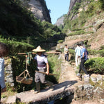 Wuyi Rock Oolong Tea Stone Milk Fragrance Shi Ru Xiang