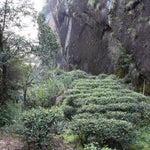 Wuyi Rock Oolong Tiger Rock Rou Gui Cinnamon