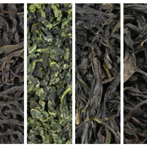 Premium Oolong Tea Sampler
