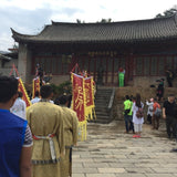 1999 Vintage Yiwu Zhen Shan Raw Sheng Pu-erh Tea