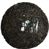 1999 Vintage Yiwu Zhen Shan Raw Sheng Pu-erh Tea