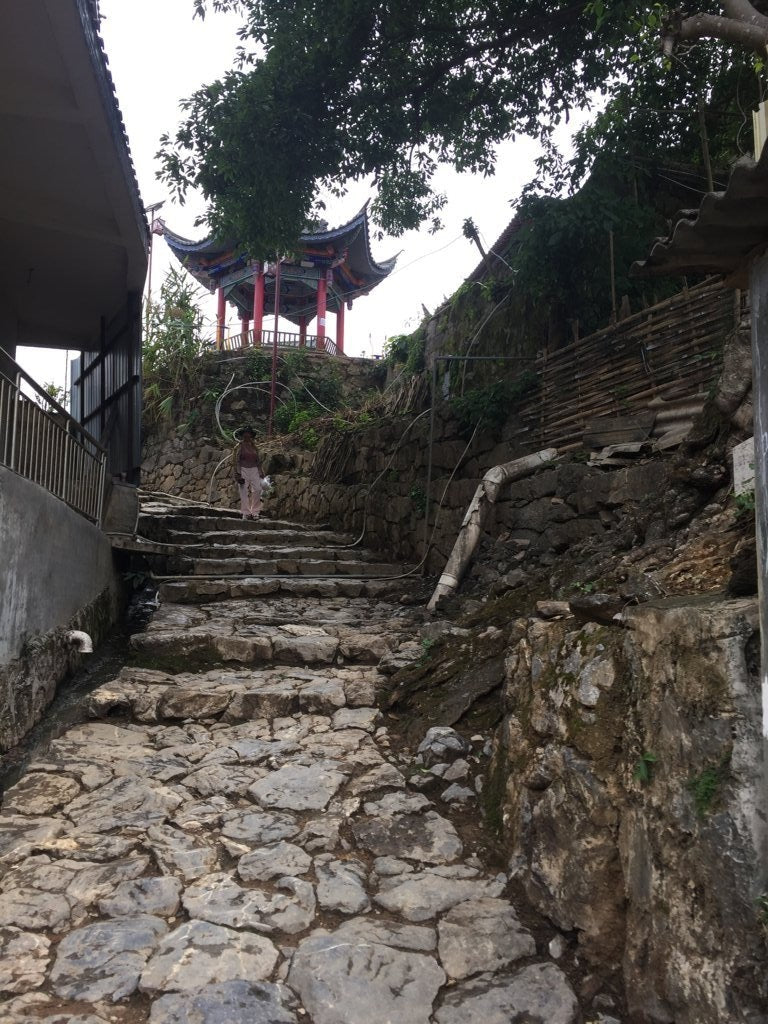 1999 Vintage Yiwu Zhen Shan Raw Sheng Pu-erh Tea